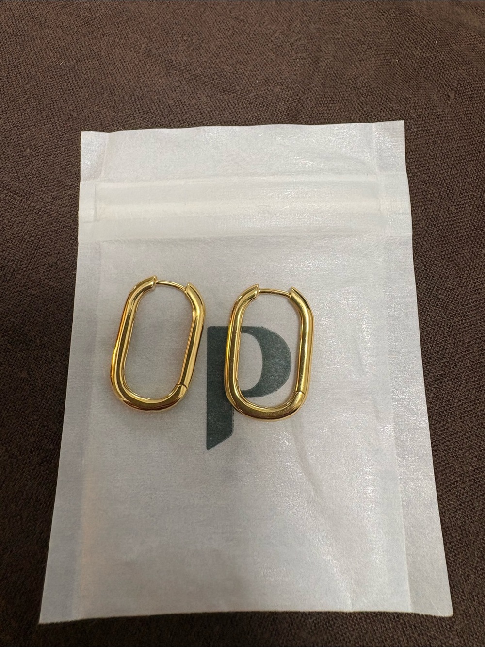 Polished Gold Oval Hoop Earrings